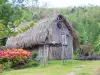Os Trois-Îlets - Savannah of the Slaves: cabana tradicional