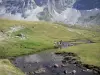 Troumouse cirque - River lined with pastures (grass), mountains of the cirque in the background; in the Pyrenees National Park