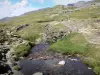 Troumouse cirque - River, grass (pasture), and path leading to the viewpoint of the Virgin statue; in the Pyrenees National Park