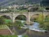 Upper Languedoc Regional Nature Park - Bridge spanning the river, houses of a village and trees