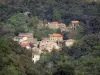 Upper Languedoc Regional Nature Park - Houses of a hamlet in the middle of the forest (trees)