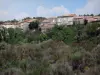 Upper Languedoc Regional Nature Park - Houses of a village, trees and shrubs