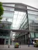 Urban landscape - Saint-Honoré market square and Jacobins passage