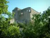 Vaison-la-Romaine - Castillo rodeado de árboles
