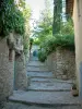 Vaison-la-Romaine - Estrechas calles empedradas de la ciudad medieval (Ciudad Alta) con una casa de paredes de piedra, plantas y árboles