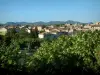 Vaison-la-Romaine - Los árboles y las casas en la ciudad