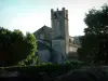 Vaison-la-Romaine - Notre-Dame-de-Nazareth cathedral and trees