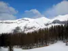 Valberg - Domaine skiable de la station : neige, arbres, montagnes et nuages dans le ciel bleu