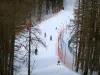 Valberg - Neige, arbres et piste de ski de la station avec des skieurs
