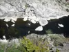 Vale do Eyrieux - Rio Eyrieux forrado com rocha