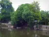 Vale do Loir - Rio (Le Loir), barcos ancorados na costa e árvores à beira da água, em Montoire-sur-le-Loir