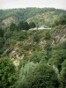 Vale do Meuse - Vista das rochas de Laifour, em um cenário verde