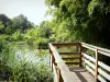 Valence - Parc Jouvet: pontón de madera a la orilla del agua