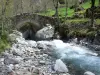 Valgaudemar - Oulles el diablo: pequeño puente sobre el torrente de Shuttle, rocas, piedras y árboles en el Parque Nacional de Ecrins (macizo de Ecrins)