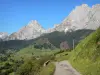 Valle del Aspe - Circo de Lescun en Béarn y el Parque Nacional de los Pirineos: pequeña Lescun carretera con vistas al anfiteatro de montañas