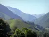 Valle del Aspe - Verdes montañas del valle bearnesa