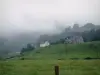 Valle del Aspe - Verde paisaje en la niebla