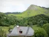 Valle del Jordanne - Parque Natural Regional de los Volcanes de Auvernia: casa con vistas a un paisaje verde y en conserva