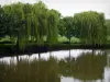 Valle del Loir - Sauces llorones (árboles) de la caminata del poeta se refleja en las aguas del río (el Lirón), en Lavardin
