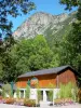 Valle de Orlu - Valle Oriège: Casa de los Lobos, los árboles y la montaña que domina toda la