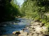 Valle de Orlu - Valle Oriège: Oriège río rodeado de rocas y árboles