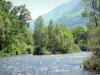 Valle del Ossau - Gave d'Ossau, árboles a lo largo del agua y las montañas de los Pirineos en el Béarn