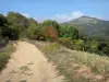 Valle de los Saints - Ruta de acceso al sitio de las chimeneas de hadas, en la ciudad de Boudes