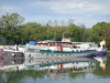 Valle del Saône - Puerto de Saint-Jean-de-Losne y sus barcos amarrados