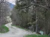 Vallée de la Clarée - Chemin bordé d'arbres