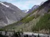 Vallée du Drac Blanc - Torrent du Drac Blanc, arbres et montagnes ; dans le Champsaur, dans le Parc National des Écrins