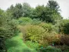 Valloires gardens - Shrubs, lawn, flowers and trees