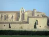 Valmagne abbey - Cistercian abbey