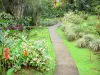 Valombreuse gardens - Floral Park of the Valombreuse domain, in the town of Petit-Bourg and the island of Basse-Terre: alley of the exotic garden lined with tropical plants