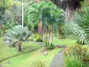 Valombreuse gardens - Palm grove of the floral park