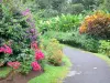 Valombreuse gardens - Walk in the exotic garden of floral park
