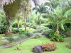 Valombreuse gardens - Palm grove of the floral park