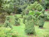 Valombreuse gardens - Topiary in the Floral Park