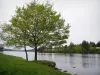 Meer van Vassivière - Bank, bomen en stuwmeer