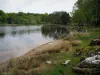 Meer van Vassivière - Bank, bomen en stuwmeer