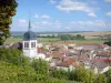 Vaucouleurs - Bell tower of the Saint-Laurent church, roofs of houses in the village and surrounding landscape