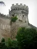 Veauce - Tower of the castle