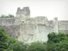 Ventadour castle