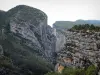 Verdon gorges - Verdon Grand canyon: cliffs (rock faces); in the Verdon Regional Nature Park