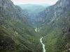 Verdon gorges - Verdon Grand canyon: Verdon river lined with trees and cliffs (rock faces); in the Verdon Regional Nature Park