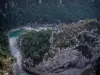 Verdon gorges - From the Mescla balconies, view of rock faces, trees, scrubland and the confluence (stream crossing) of the Verdon and Artuby rivers (Verdon Regional Nature Park)