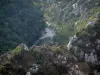 Verdon gorges - From the Mescla balconies, view of rock faces, trees (forests) and scrubland (Verdon Regional Nature Park)