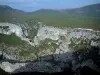 Verdon gorges - Calcareous cliff (rock faces), trees and scrubland (Verdon Regional Nature Park)