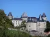 Verteuil-sur-Charente - Castillo con torres, rosa (rosa) en el valle de Charente