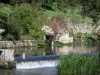 Verteuil-sur-Charente - Río Charente (Charente valle), de caña, las vacas en un prado y árboles