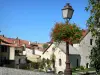 Verteuil-sur-Charente - Farola decorado con flores, casas de molinos de agua y el pueblo en el valle de Charente